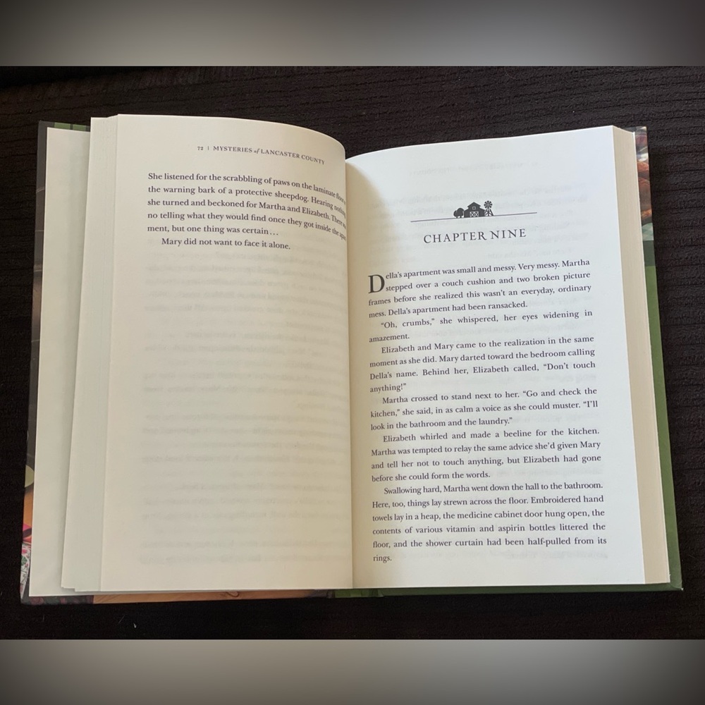 Mysteries of Lancaster County Book Bundle (2) - Picture 12 of 15